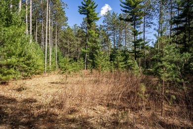 Build Your Dream Home or Getaway Near Castle Rock Lake! Discover - photo 7