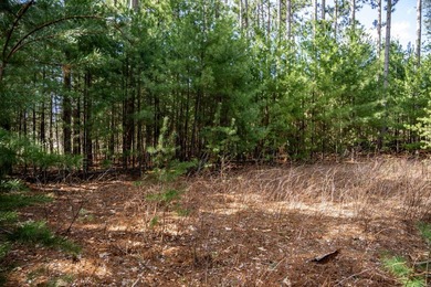 Build Your Dream Home or Getaway Near Castle Rock Lake! Discover - photo 8