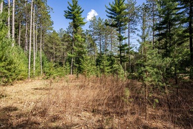 Build Your Dream Home or Getaway Near Castle Rock Lake! Discover - photo 9