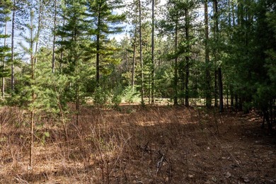 Build Your Dream Home or Getaway Near Castle Rock Lake! Discover - photo 10