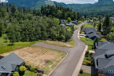 Corner .17-acre lot in the quiet Stone Ridge Estates - photo 4