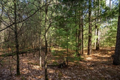 Build Your Dream Home or Getaway Near Castle Rock Lake! Discover - photo 7