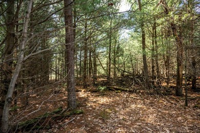 Build Your Dream Home or Getaway Near Castle Rock Lake! Discover - photo 8