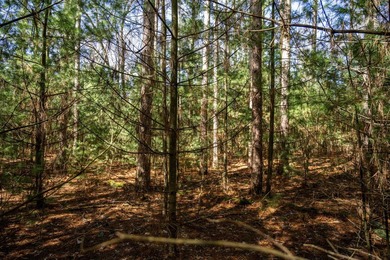 Build Your Dream Home or Getaway Near Castle Rock Lake! Discover - photo 4