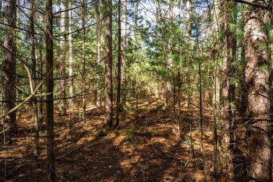 Build Your Dream Home or Getaway Near Castle Rock Lake! Discover - photo 5