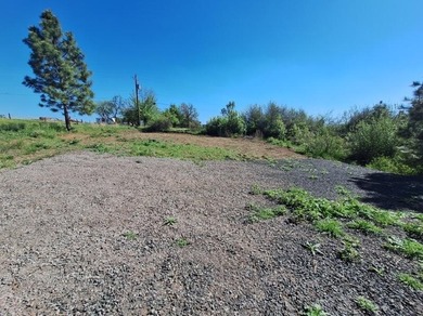 25 Acre Lot in Oregon Shores, Septic installed, House plans for - photo 6