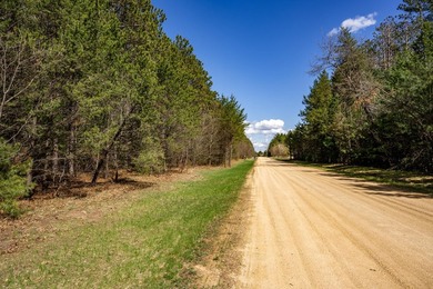 Build Your Dream Home or Getaway Near Castle Rock Lake! Discover - photo 6
