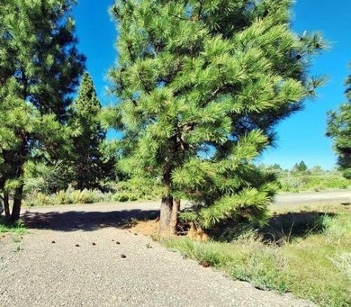 25 Acre Lot in Oregon Shores, Septic installed, House plans for - photo 7