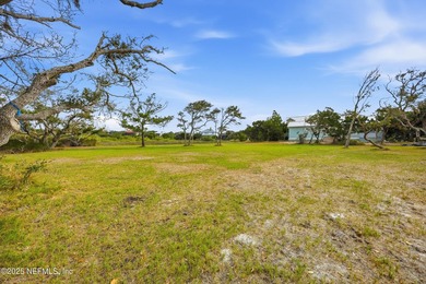This peninsula property is just under an acre and sits at the - photo 10