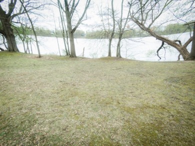 Over 4-acres with 500 feet of water frontage on Union Lake - Lake Acreage For Sale in Union City, Michigan