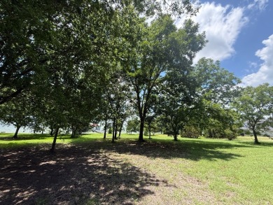 Incredible Lot w/Open Water Views & Custom Boathouse! - photo 18