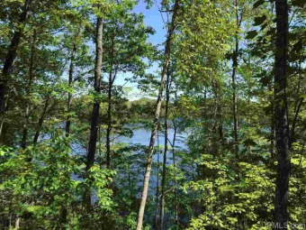 Lake Anna Lot For Sale in Florence Wisconsin