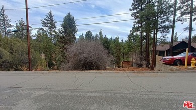 Big Bear Lake Lot For Sale in Big Bear City California