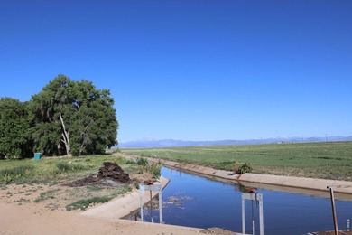 Exceptional 311-acre irrigated farm with excellent water rights - photo 12