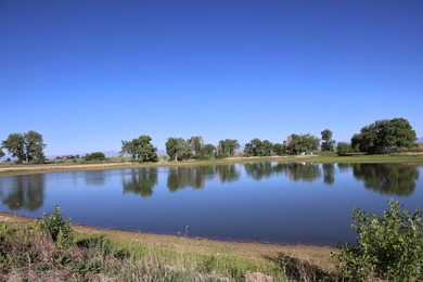 Exceptional 311-acre irrigated farm with excellent water rights - photo 13