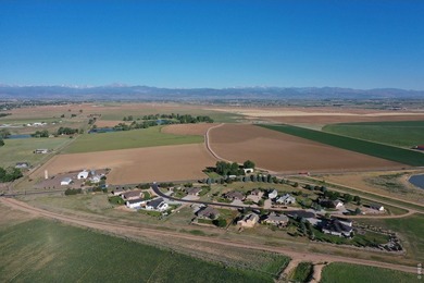 Exceptional 311-acre irrigated farm with excellent water rights - photo 15
