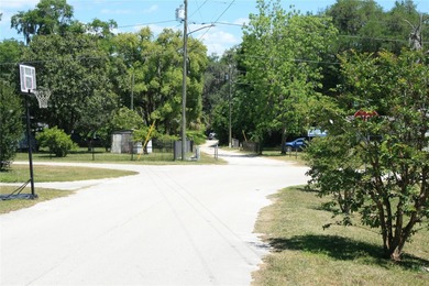 REDUCED to SELL!   Large lot with well & septic (not guaranteed) - photo 5