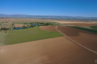 Exceptional 311-acre irrigated farm with excellent water rights - photo 19