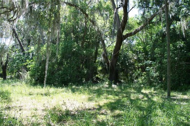 REDUCED to SELL!   Large lot with well & septic (not guaranteed) - photo 9