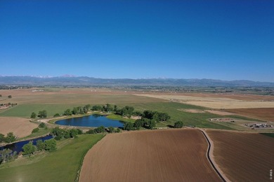 Exceptional 311-acre irrigated farm with excellent water rights - photo 20