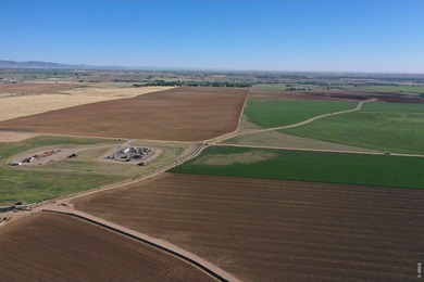 Exceptional 311-acre irrigated farm with excellent water rights - photo 21