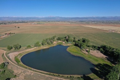Exceptional 311-acre irrigated farm with excellent water rights - photo 23
