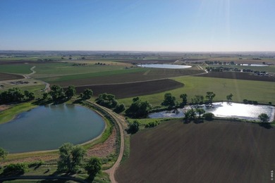 Exceptional 311-acre irrigated farm with excellent water rights - photo 25