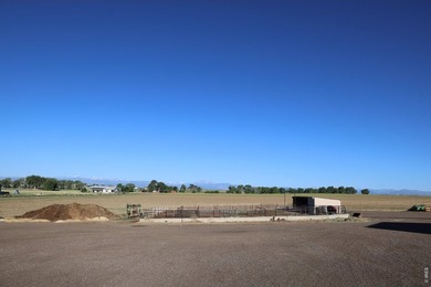 Exceptional 311-acre irrigated farm with excellent water rights - photo 29