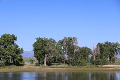 Exceptional 311-acre irrigated farm with excellent water rights - photo 30