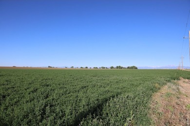 Exceptional 311-acre irrigated farm with excellent water rights - photo 31