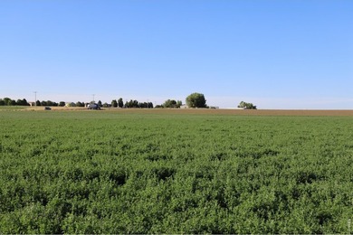 Exceptional 311-acre irrigated farm with excellent water rights - photo 32