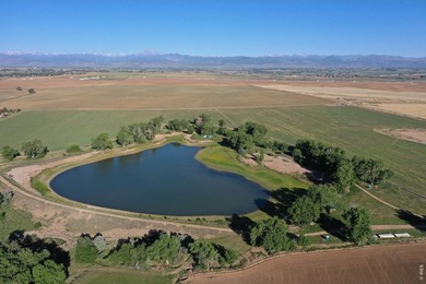Exceptional 311-acre irrigated farm with excellent water rights - photo 35