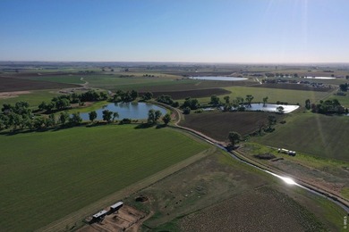 Exceptional 311-acre irrigated farm with excellent water rights - photo 36