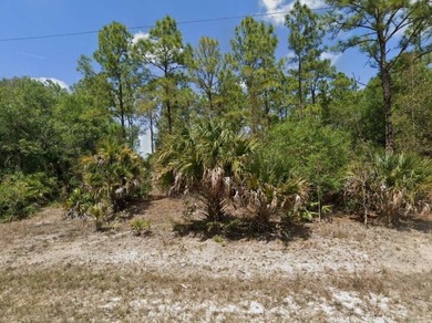 Lehigh Acres Area Lot For Sale in Lehigh Acres Florida