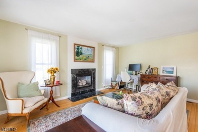 Opportunity knocks! Beautifully crafted center hall colonial - photo 8