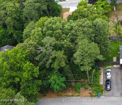Build your dream home on this 75' x 100' wooded lot located in - photo 3