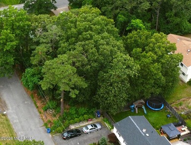 Build your dream home on this 75' x 100' wooded lot located in - photo 4