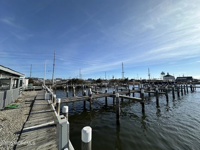 Chance to own your very own marina! Property includes 2 deeds - photo 3