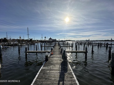 Chance to own your very own marina! Property includes 2 deeds - photo 4