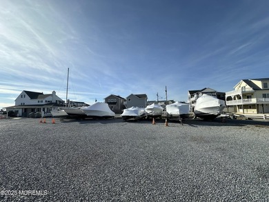 Chance to own your very own marina! Property includes 2 deeds - photo 10