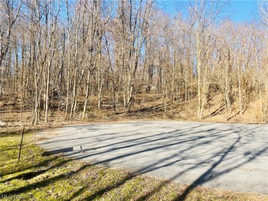 Lake Martin Lot For Sale in Kent Ohio