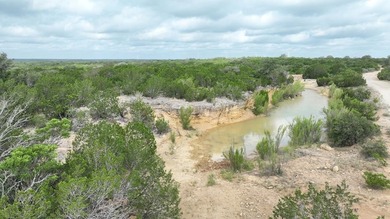 (private lake, pond, coastal) Acreage For Sale in Carta Valley Texas