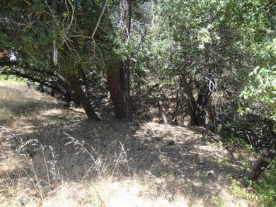 Great price for this .21 acre lot in desirable Kelly Ridge in - photo 4