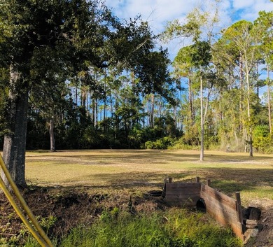 New River Lot For Sale in Carabelle Florida