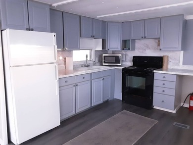 Lake Padgett Home For Sale in Land O Lakes Florida