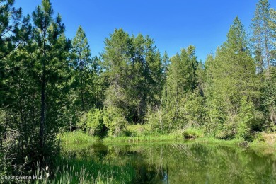 Lake Pend Oreille Lot For Sale in Dover Idaho