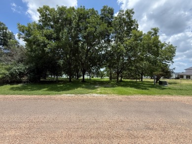 Incredible Lot w/Open Water Views & Custom Boathouse! - photo 30