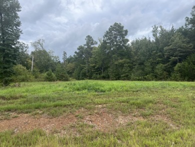 Big Rock Lake Lot For Sale in Hallsville Texas