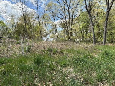Build your dream house on the hill!  2 fantastic buildable lots S - Lake Lot SOLD! in Coldwater, Michigan