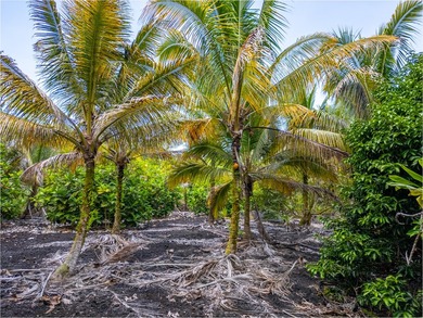 Beautiful 5-Acre Fully Fenced Property in Stunning Opihikao This - photo 8